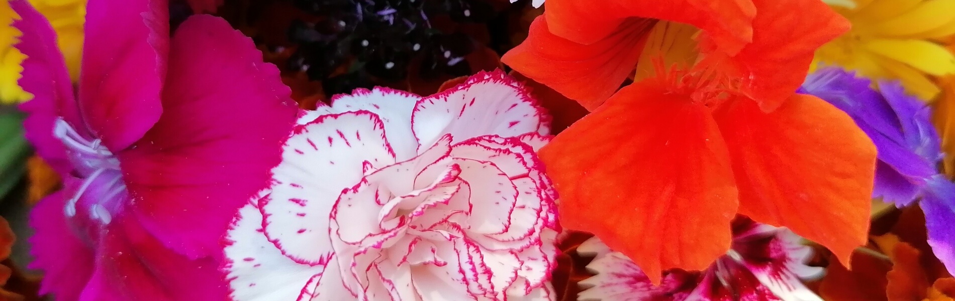 fleurs