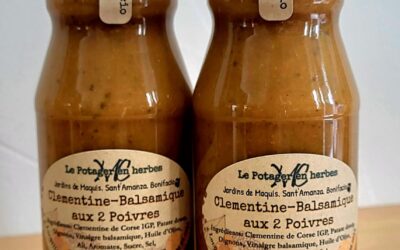 Salsa Clémentine
