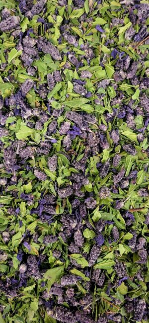 Tisane Maquis Nustrale