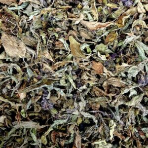 Tisane Basilic Sacré