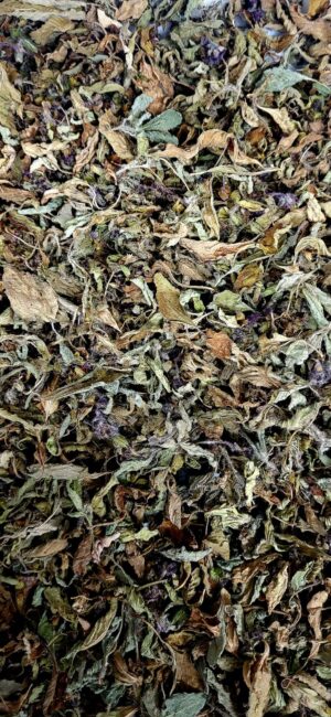 Tisane Basilic Sacré
