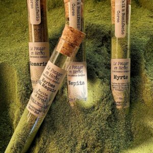 Herbes du Maquis